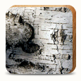 Icon 01
